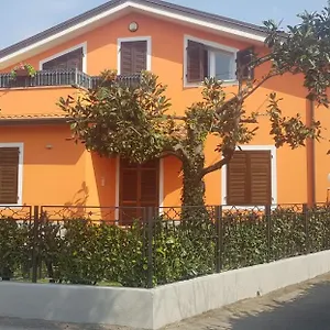 New Life Carrara