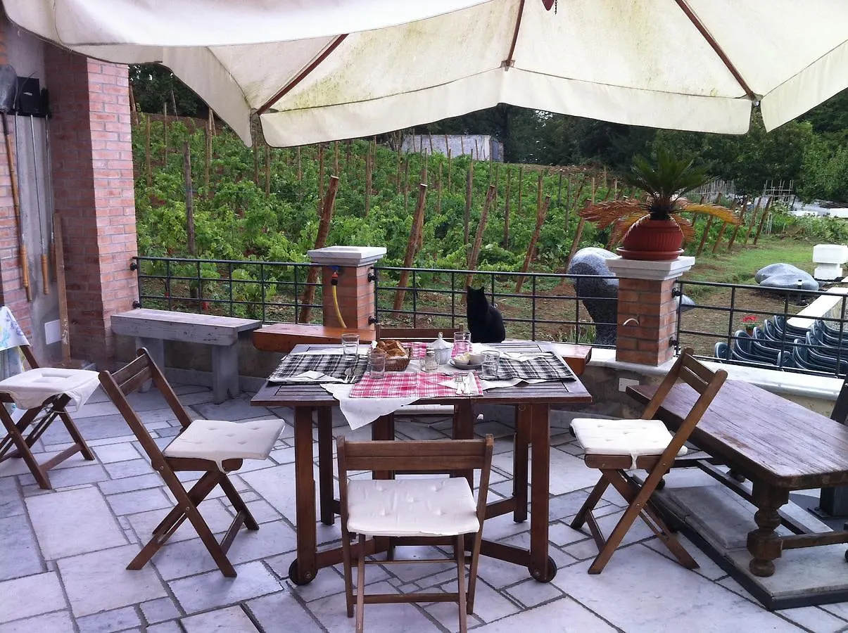 Galleria Ars Apua Bed and Breakfast Carrara 0*,  Italia