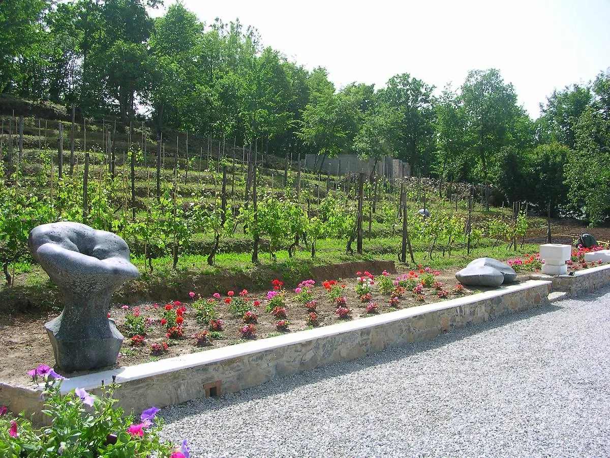 Galleria Ars Apua Bed and Breakfast Carrara Bed & Breakfast