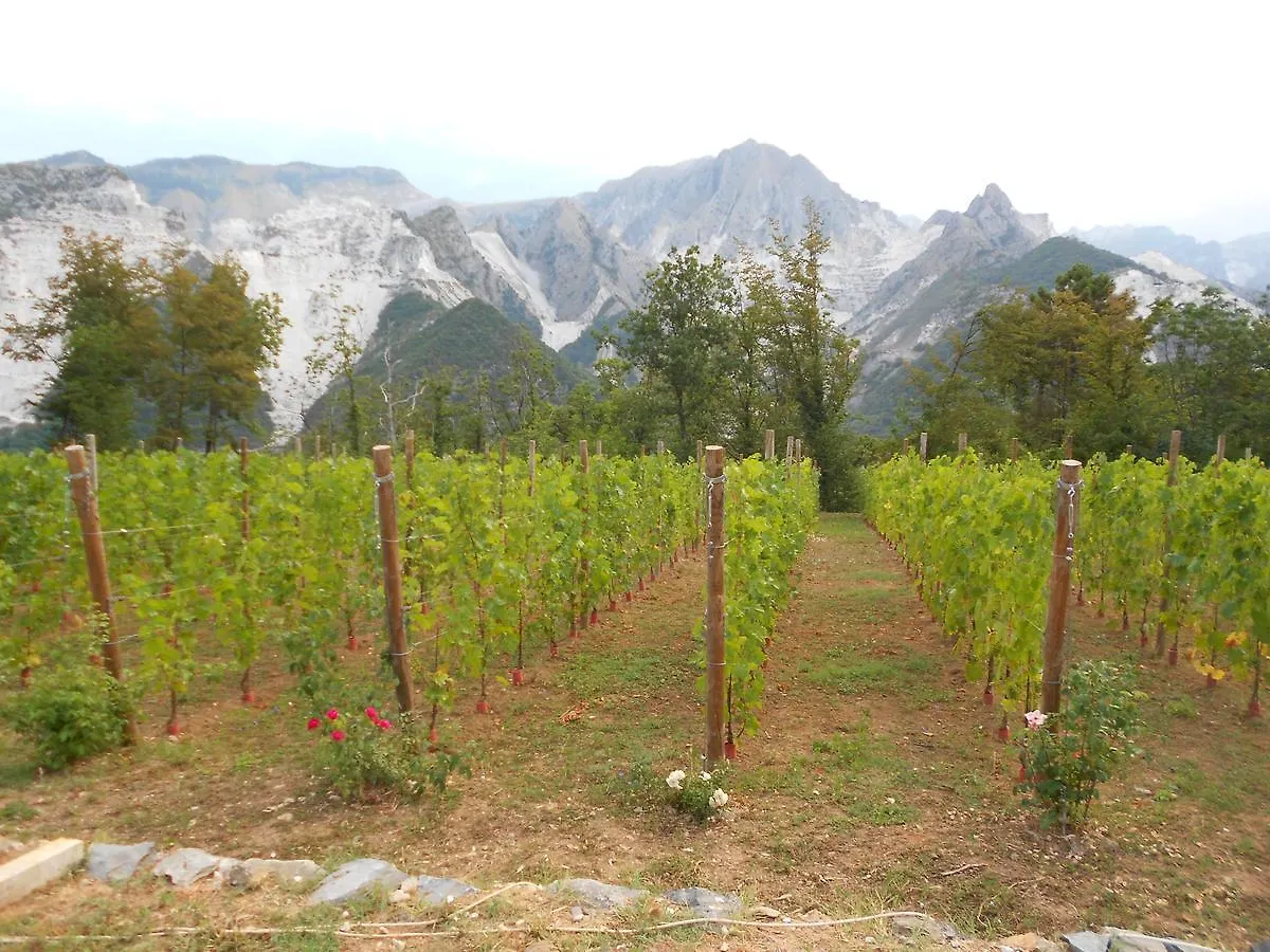 Galleria Ars Apua Bed and Breakfast Carrara